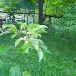 Max * Bihać
