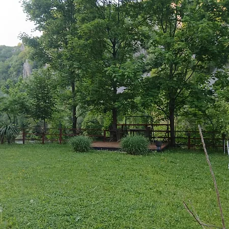 Max Apartament