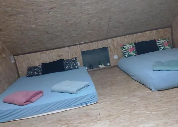 شقة Max بيهاتش